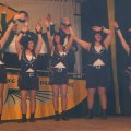 Karneval 2009 188